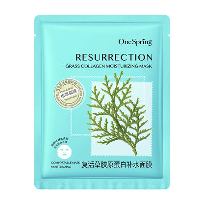Korean Facial Masks - 10 Pcs
